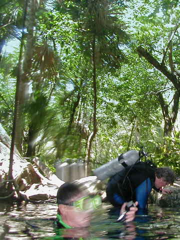 Cenote Dive